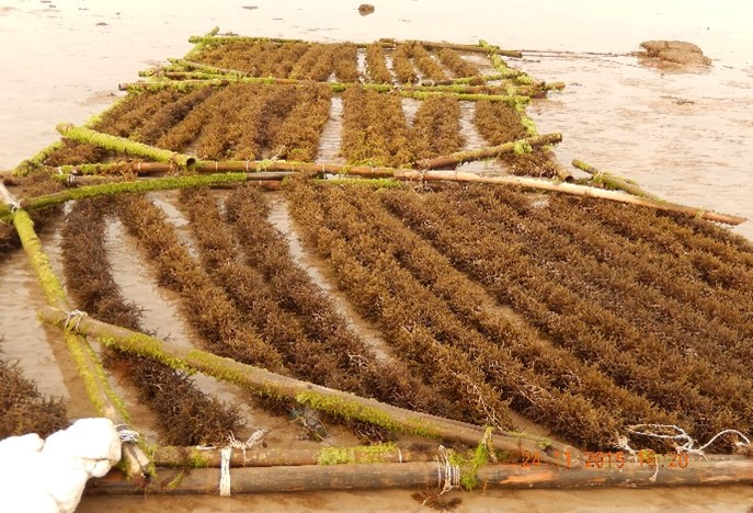 Farming